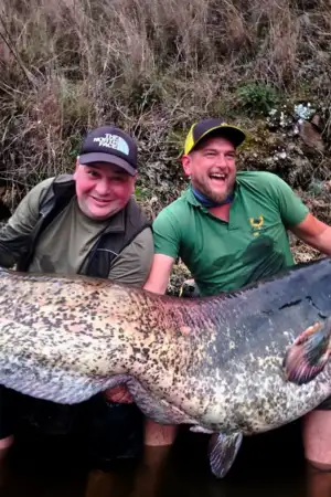 Dois homens carregam dentro do rio um peixe sirulo